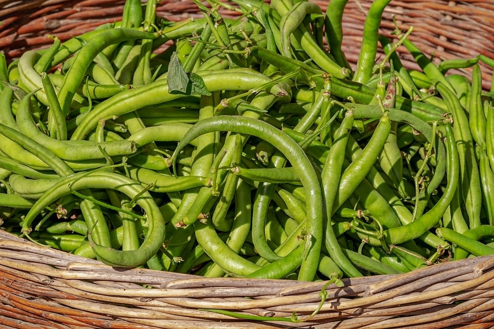 Cinque alimenti che non credevi fossero legumi. - Meravigliosamente